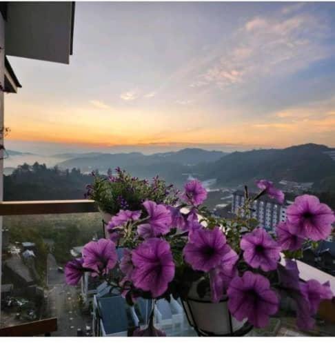 Kensington Sunrise Sg, Palas Horizon,Kea Farm Brinchang Extérieur photo